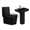 Modern bathroom one-piece toilet bowl set with pedestal sink- Matte Black with Gold Line